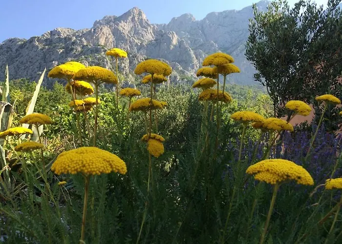 Apartman Bella Vista *