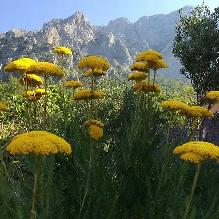 Apartmán Bella Vista *